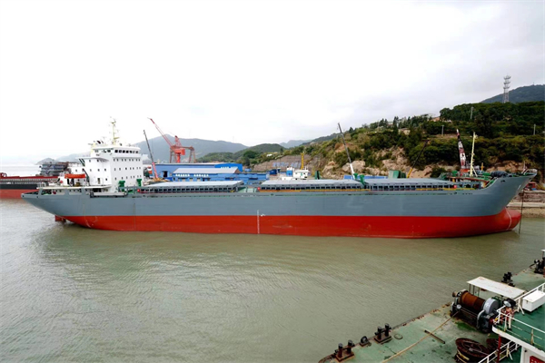 Bulk Carrier 9457 DWT